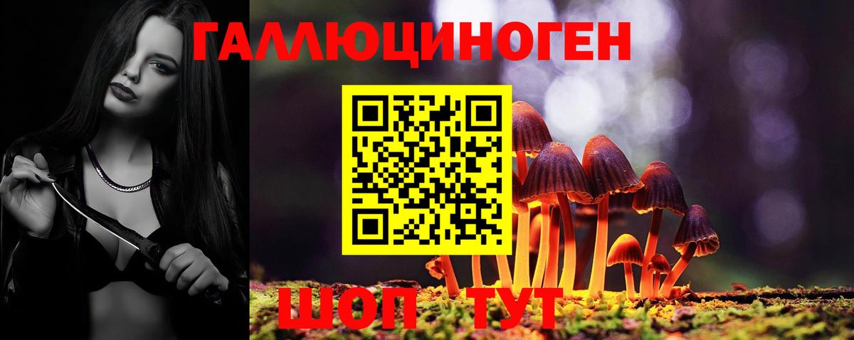 Галлюциногенные грибы MAGIC MUSHROOMS  Вход с VPN  Кизилюрт 